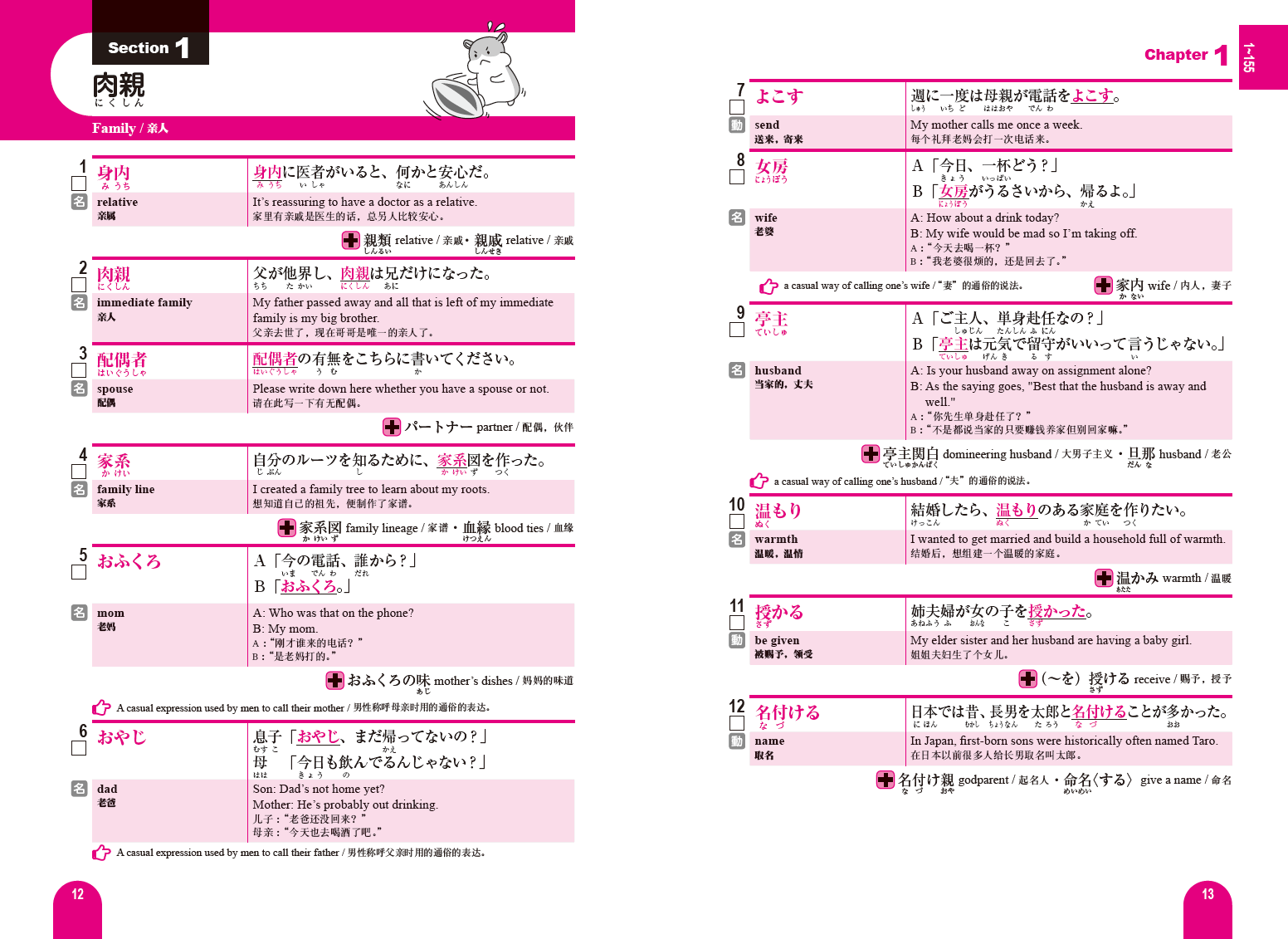 3000 Essential Vocabulary for the JLPT N1 - Image 3
