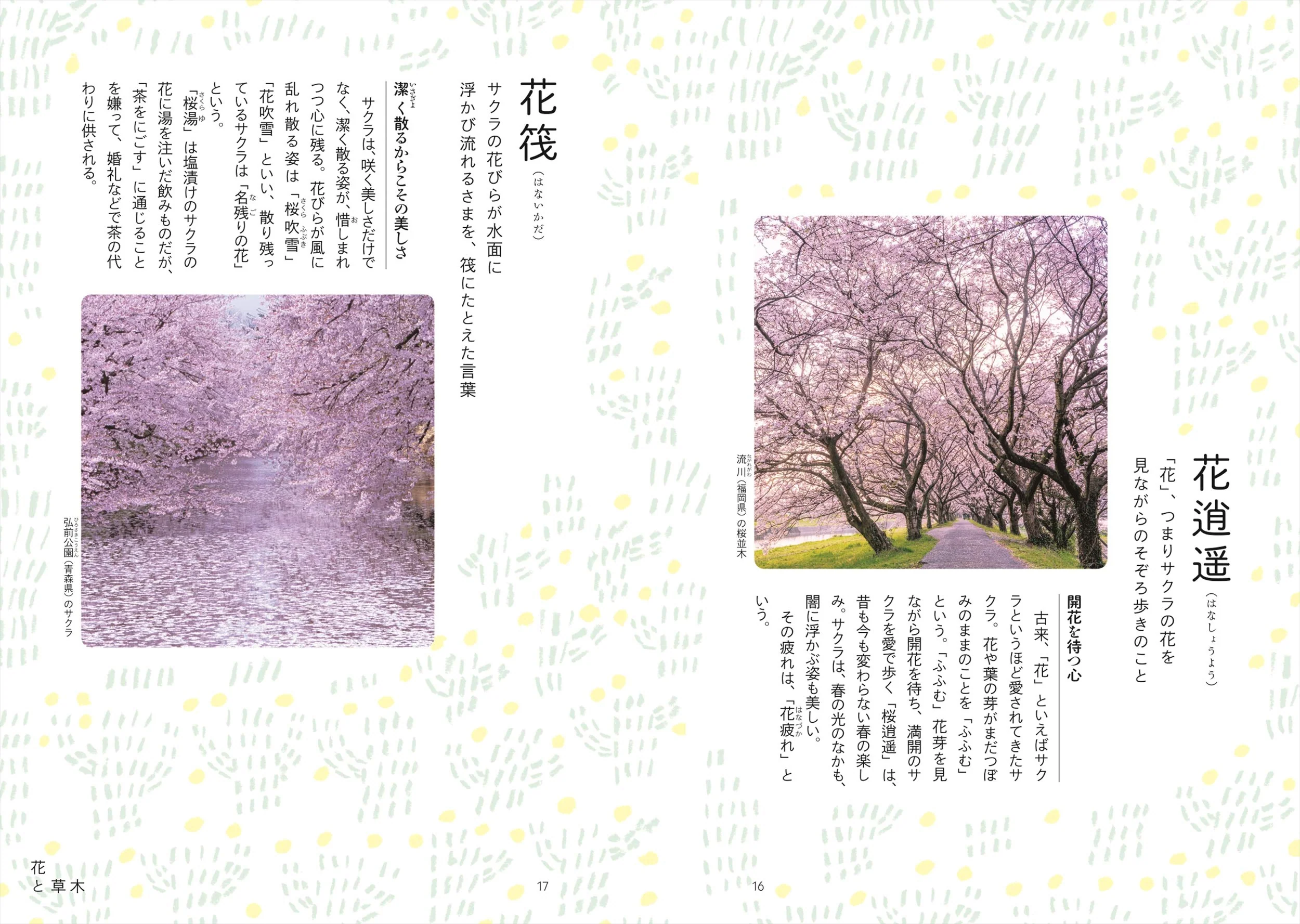 A Dictionary of Japanese Beauty - Image 4