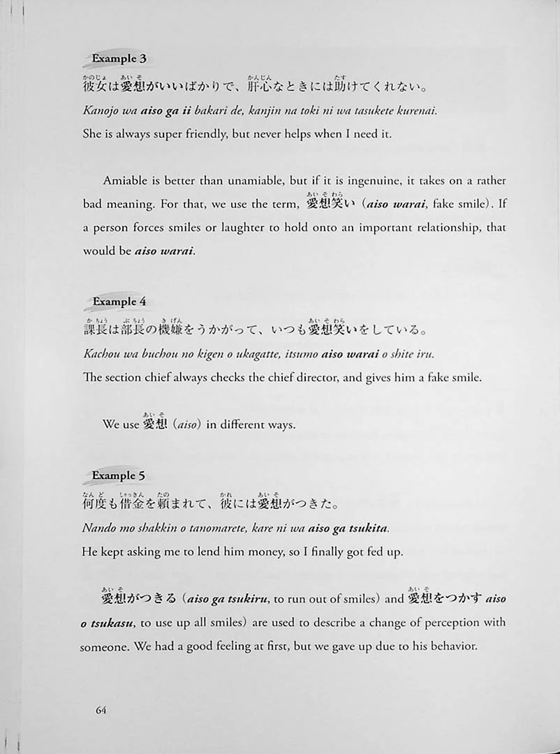 Decoding the Japanese Mind through Expressions (English Edition) - Image 12
