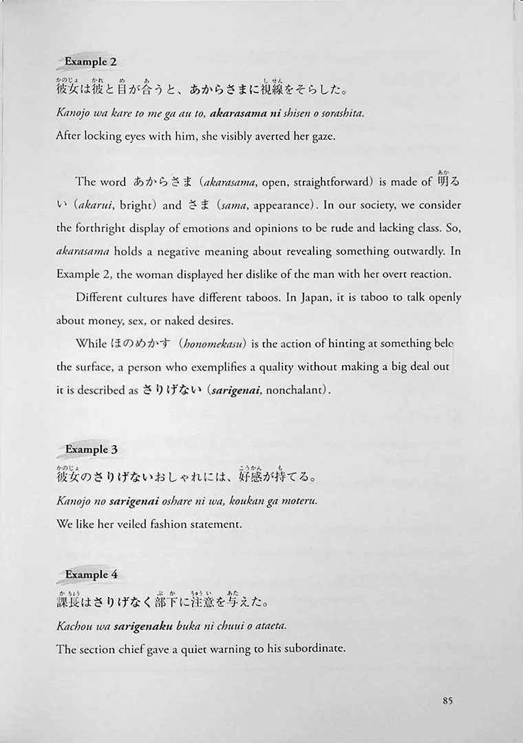 Decoding the Japanese Mind through Expressions (English Edition) - Image 15