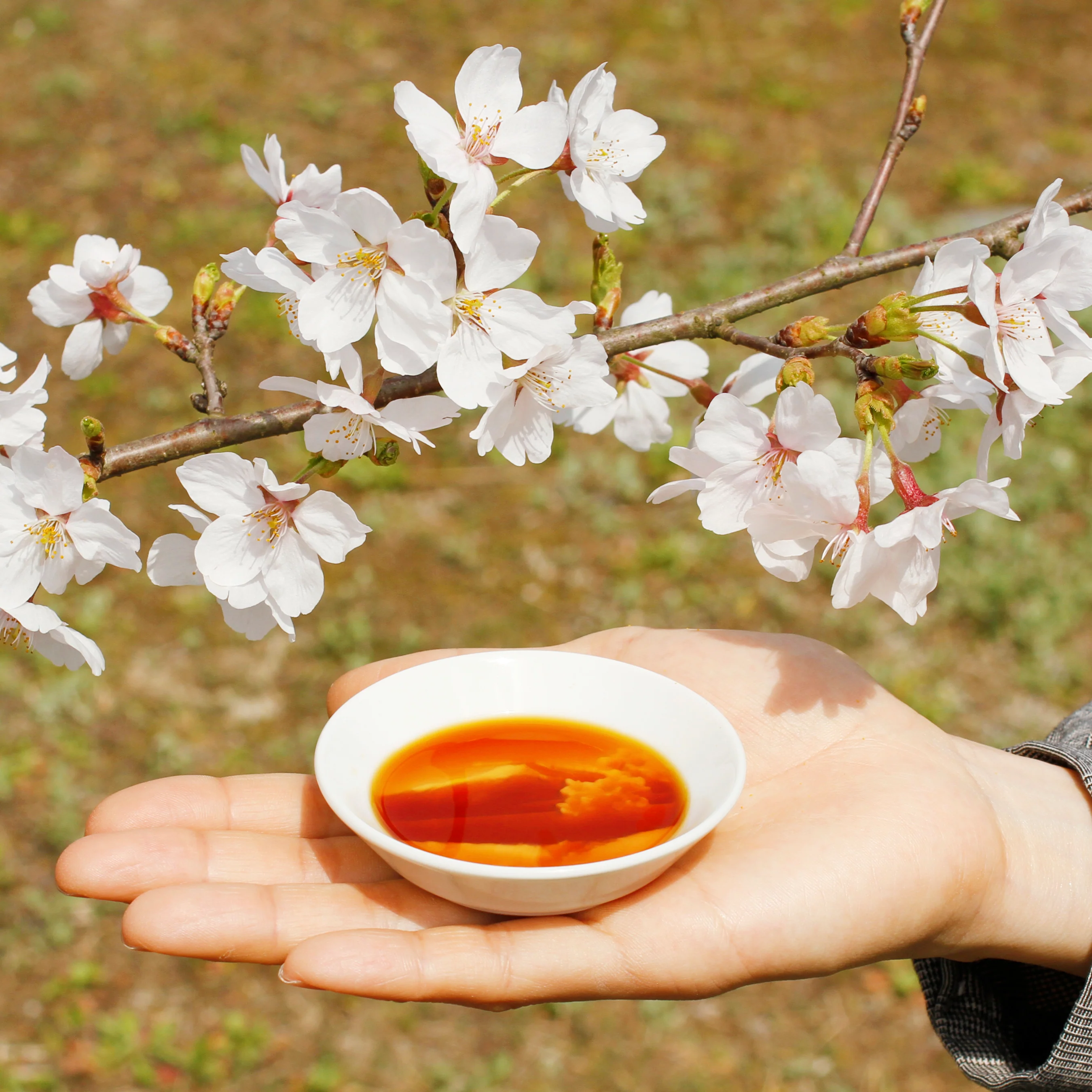 Mount Fuji Soy Sauce Dish - Image 6