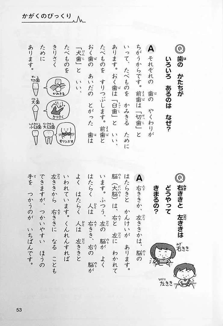 Naze? Doushite? Science 1st Grade - Image 8