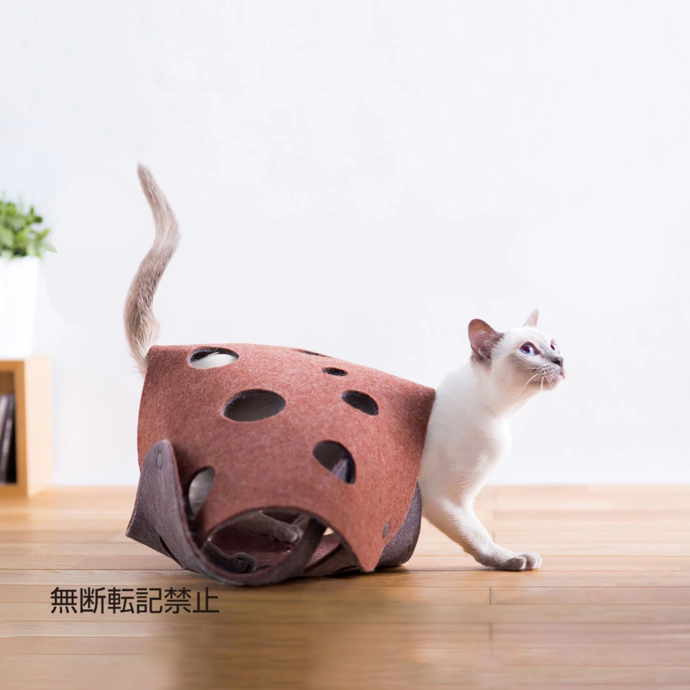 Oppo Fabric Cat Tunnel - Image 2