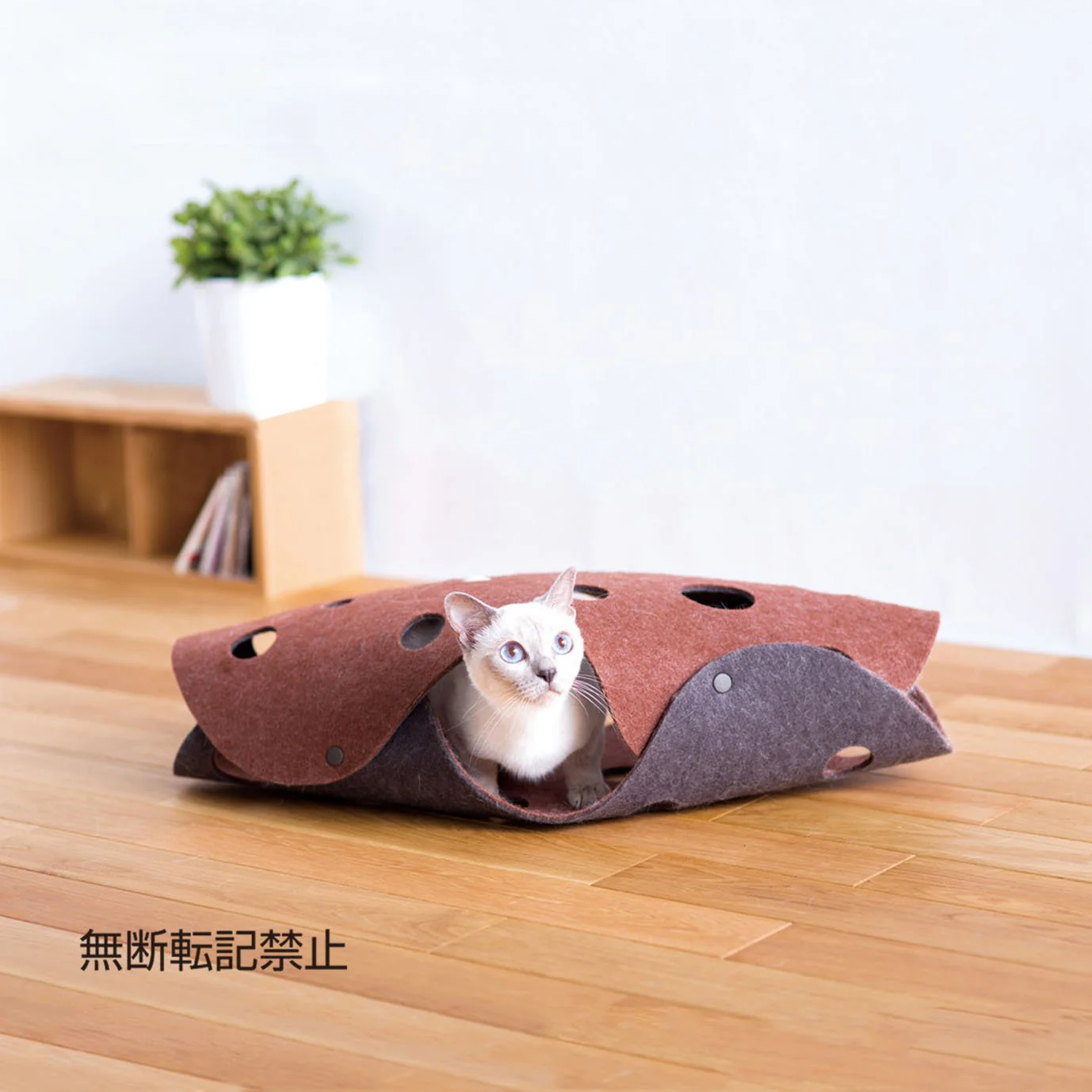 Oppo Fabric Cat Tunnel - Image 3