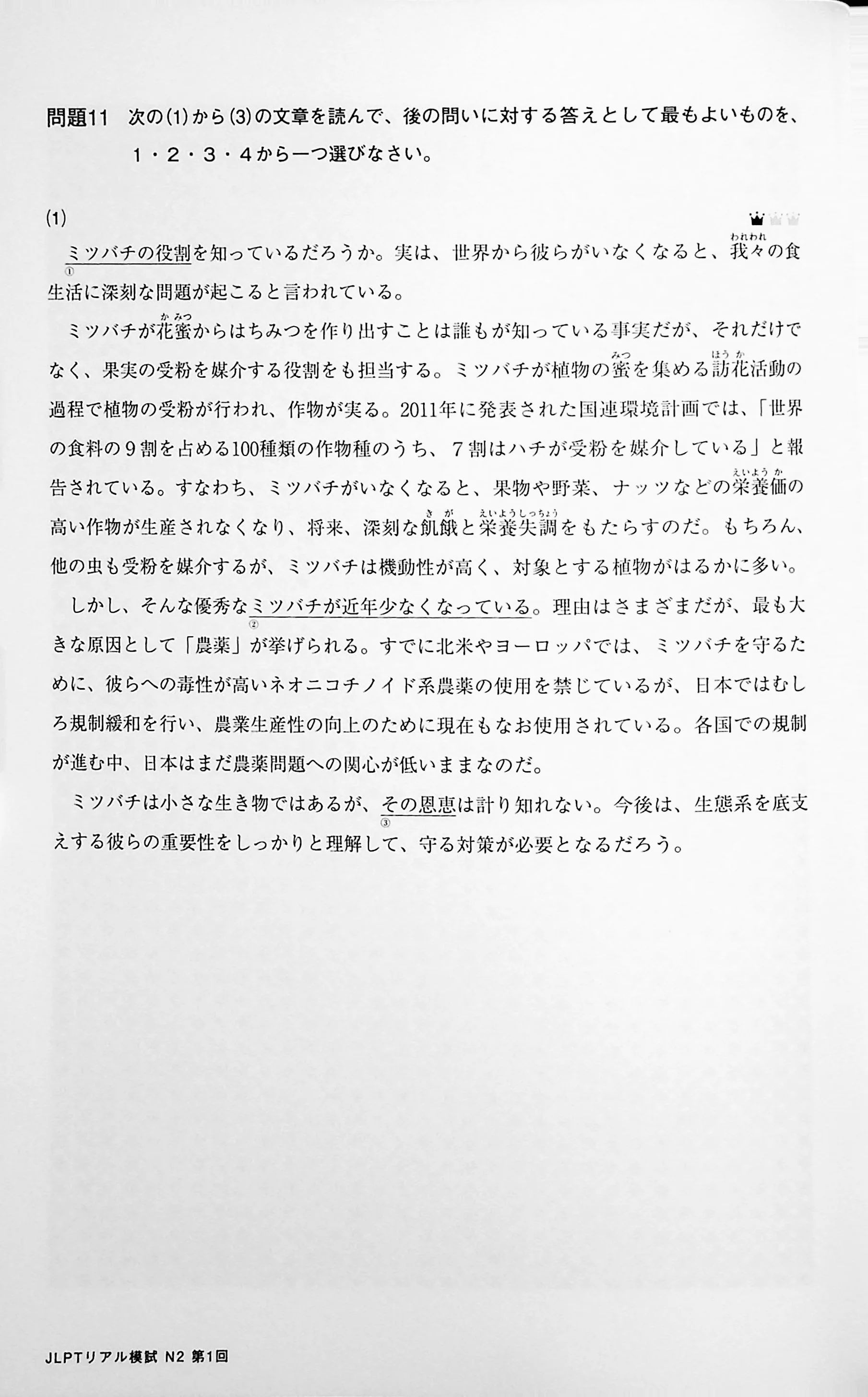 JLPT N2 Real Practice Exam - Image 10