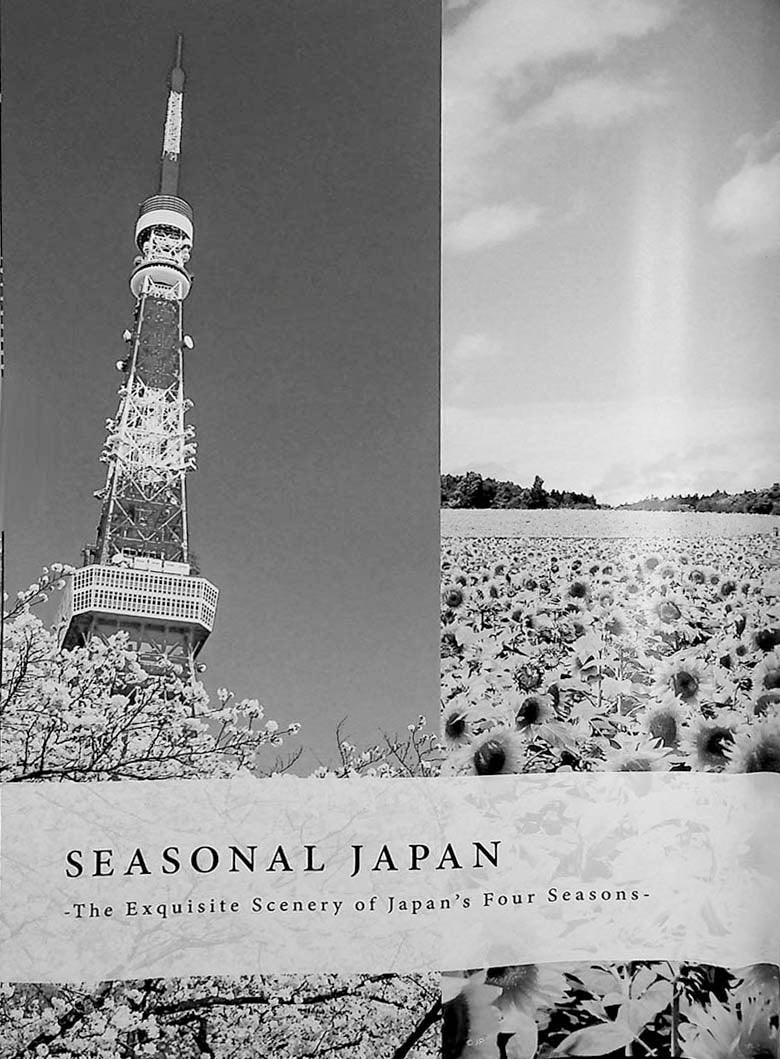 Seasonal Japan – The Exquisite Scenery of Japan’s Four Seasons - Image 10