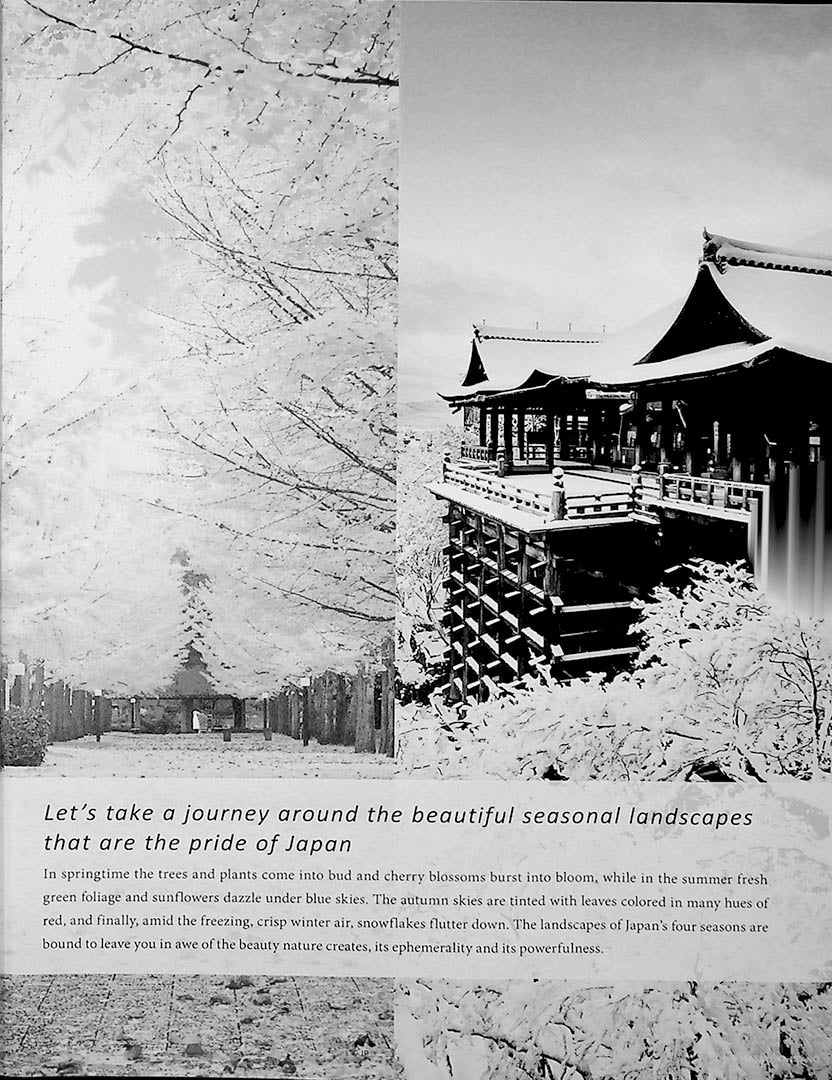 Seasonal Japan – The Exquisite Scenery of Japan’s Four Seasons - Image 11