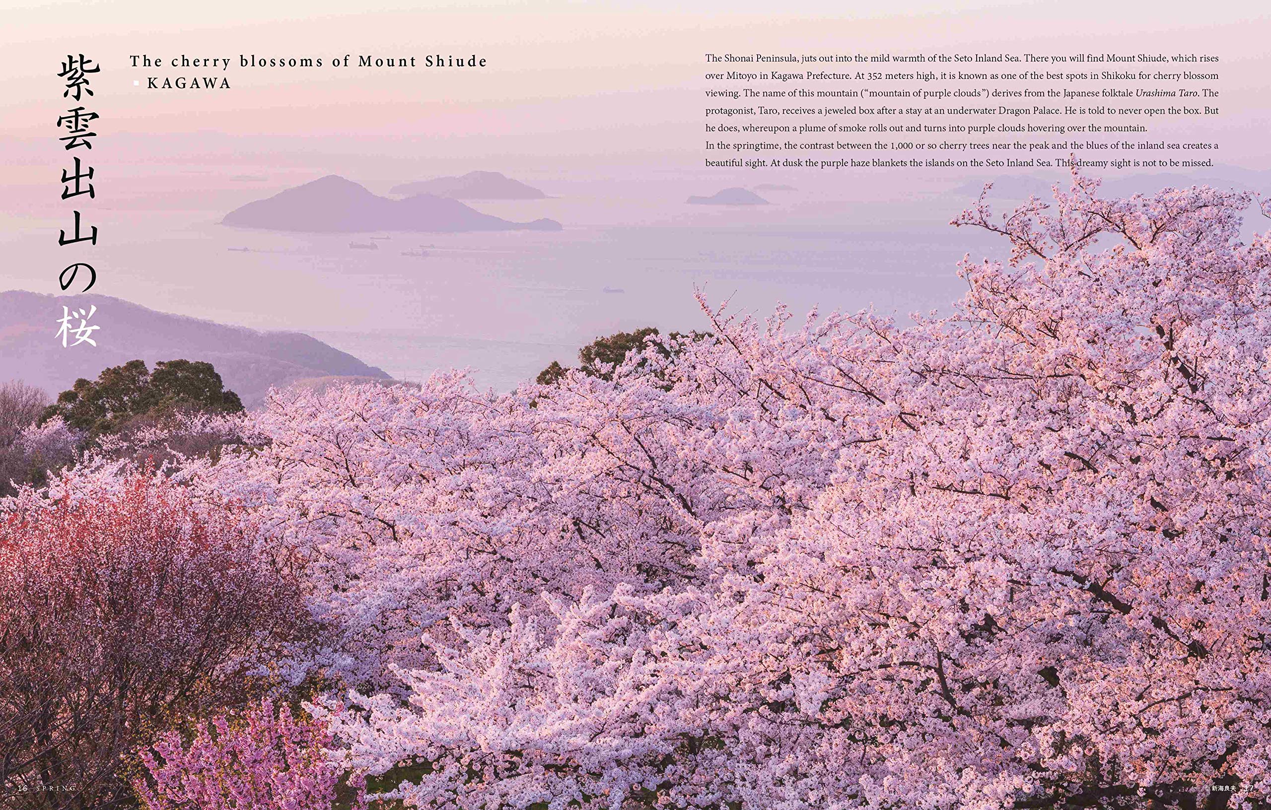 Seasonal Japan – The Exquisite Scenery of Japan’s Four Seasons - Image 5