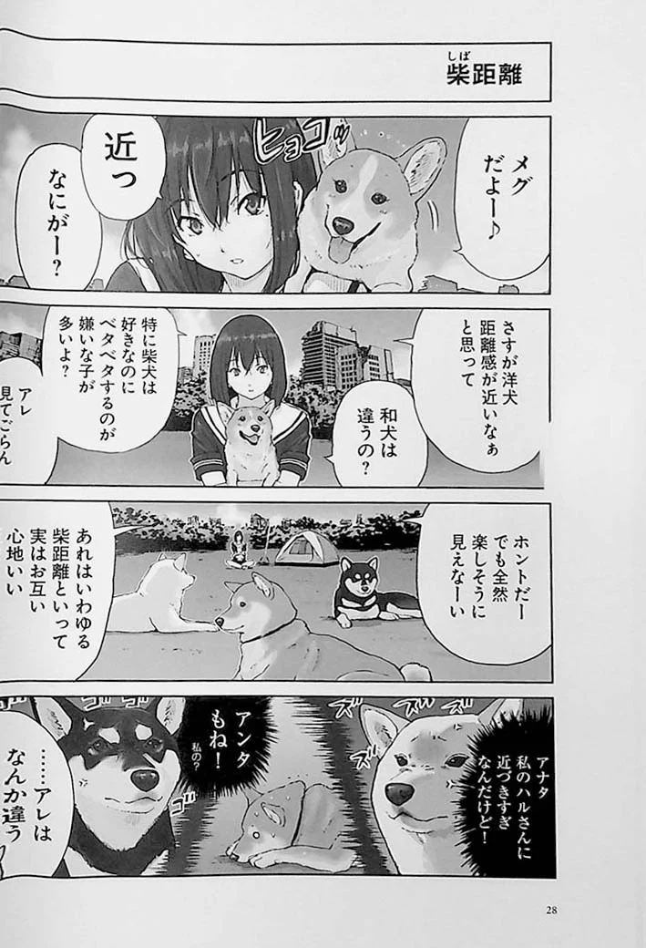 The End of the World with Shiba Inu Volume 2 - Image 7